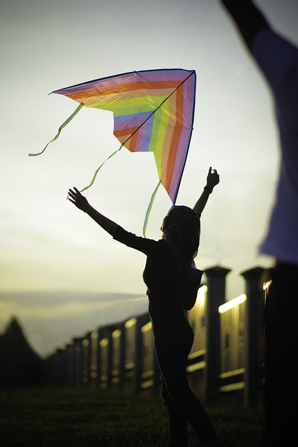 a kite against the wind.jpg